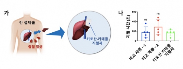 KAIST 화학과 이해신 교수 연구팀이 홍합 모사 접착성 지혈제를 이용해 혈액 응고 장애 환자에게 효과적인 지혈에 성공했다.(교육사랑신문 권성하 기자)