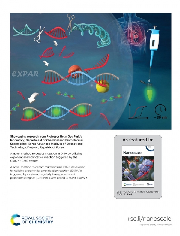 KAIST 생명화학고학과 박현규 교수팀이 CRISPR-Cas9 시스템에 의해 구동되는 EXPAR 반응을 이용한 표적 유전자 돌연변이 검출 신기술을 개발했다. 사진은 모식도를 담은 영국왕립화학회 'Royal Society of Chemistry'의 국제학술지Nanoscale의 2021년 15호 표지다.[교육사랑신문 권성하 기자]